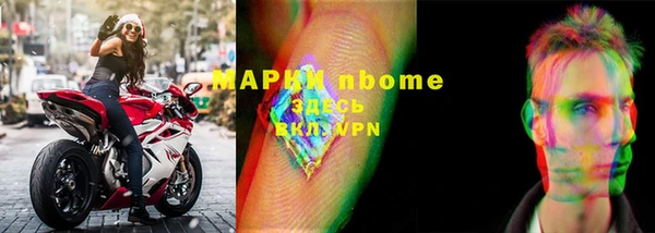 стаф Вязьма
