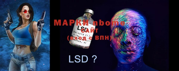 стаф Вязьма