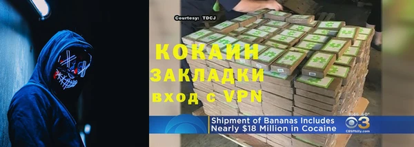 стаф Вязьма