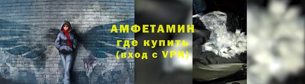 стаф Вязьма