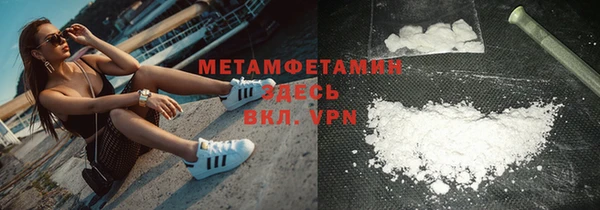 стаф Вязьма