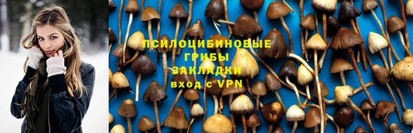 стаф Вязьма