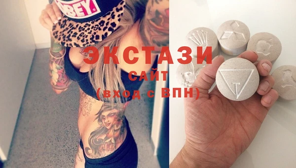 стаф Вязьма