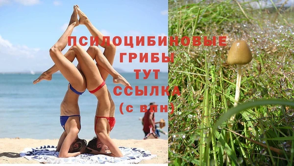 марки nbome Вяземский