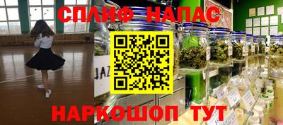 стаф Кулебаки