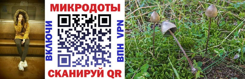 цена   Гуково  маркетплейс формула  Псилоцибиновые грибы мухоморы 