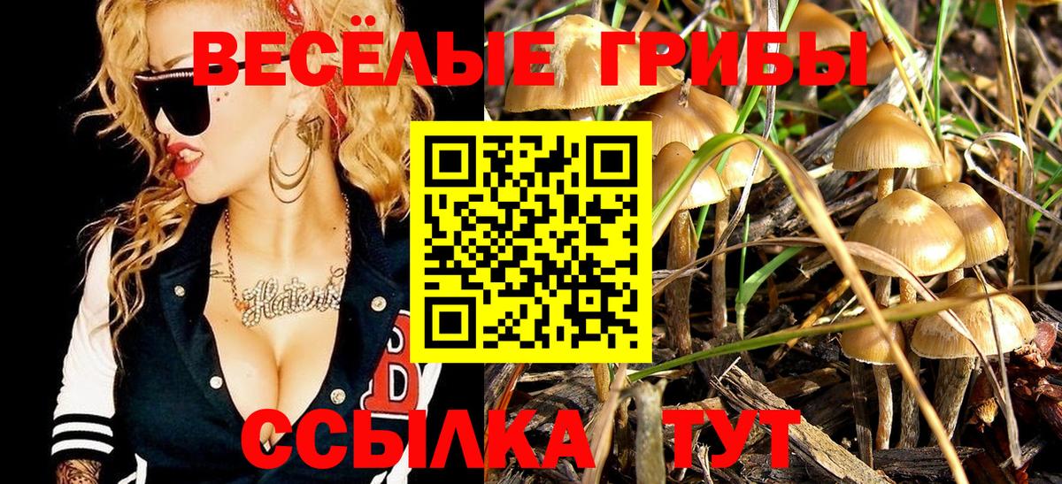 Гуково  купить наркотик  Вход с VPN  Галлюциногенные грибы ЛСД 