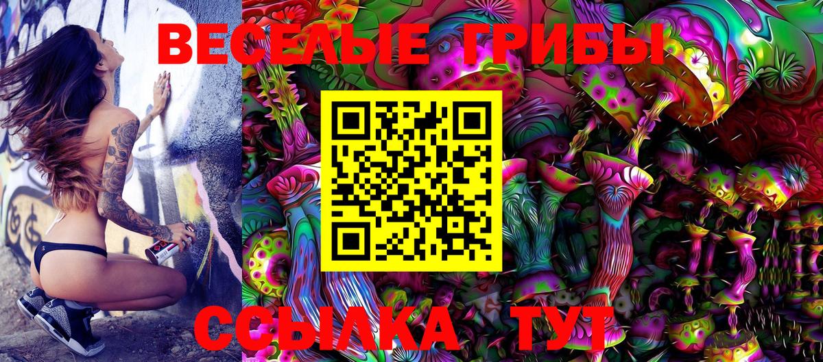 Галлюциногенные грибы Psilocybine cubensis Гуково